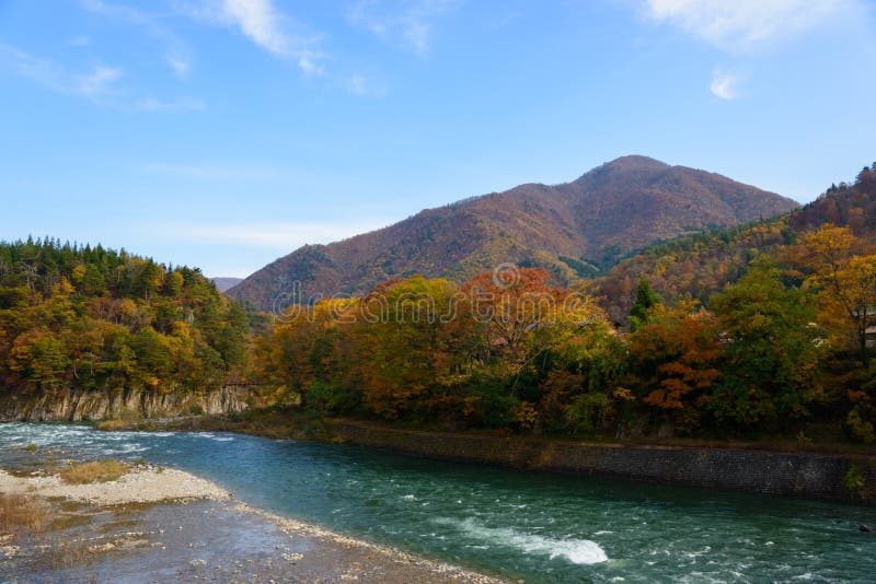 Историческая деревня Shirakawa-идет в осень, ландшафт вдоль реки Shokawa стоковые фотографии rf