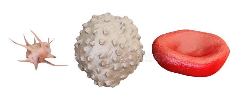 Клетки крови эритроцит, лимфоцит, thrombocyte, перевод 3D иллюстрация штока Клетки крови эритроцит, лимфоцит, thrombocyte, перевод 3D иллюстрация штока