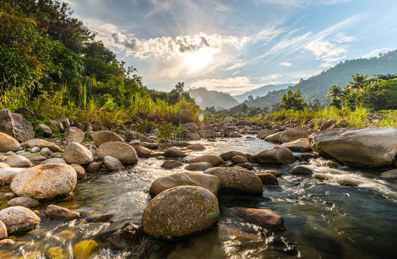 Камень и дерево реки с лучом солнца стоковая фотография rf