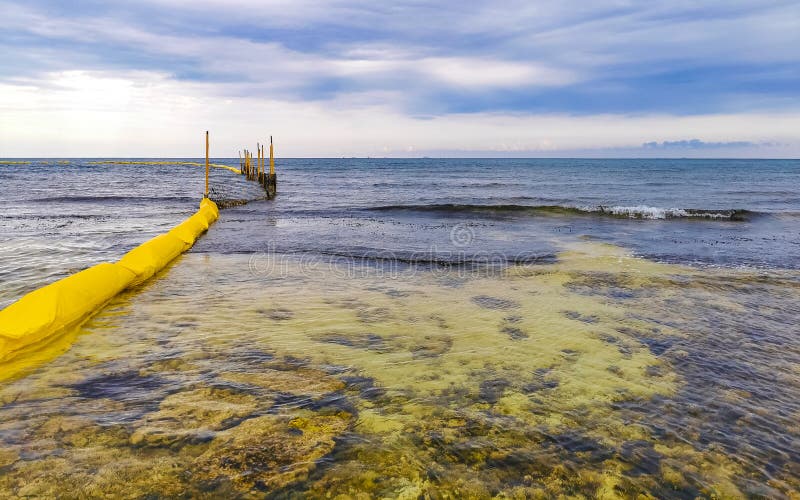 камни кораллы бирюза зеленая голубая вода на пляже мексика стоковые изображения