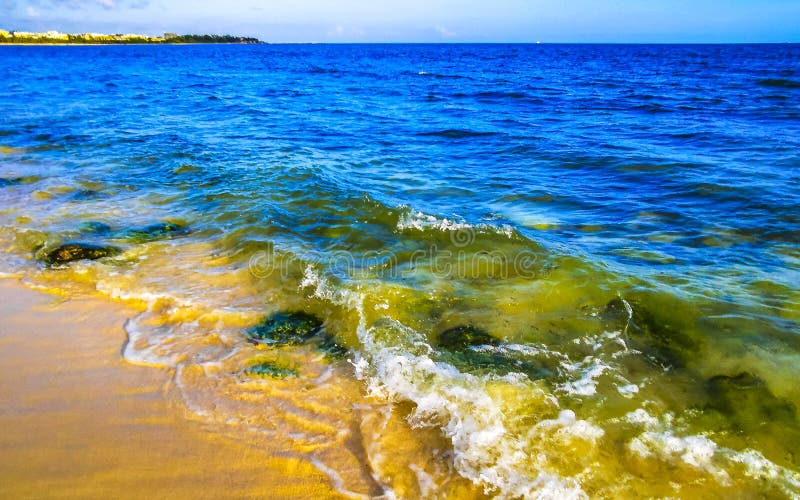 камни кораллы бирюза зеленая голубая вода на пляже мексика стоковое фото