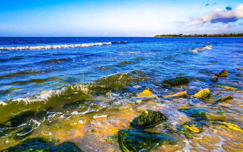 камни кораллы бирюза зеленая голубая вода на пляже мексика стоковые фотографии rf