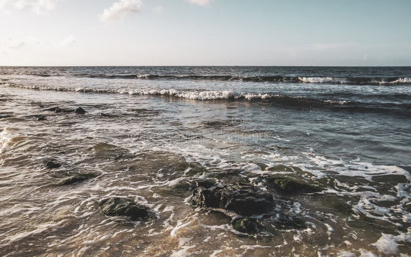 камни кораллы бирюза зеленая голубая вода на пляже мексика стоковое фото