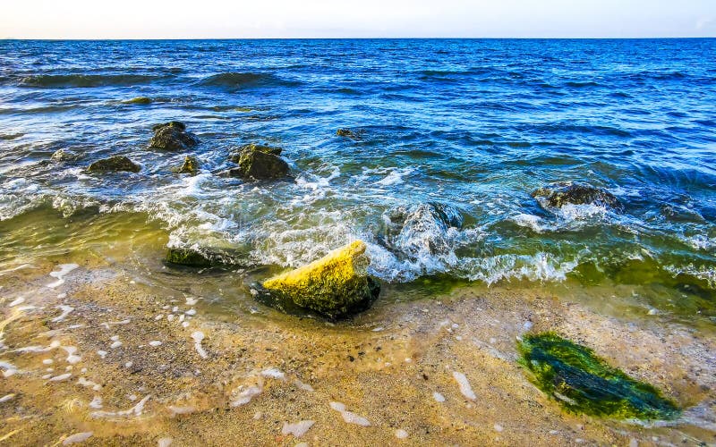камни кораллы бирюза зеленая голубая вода на пляже мексика стоковые изображения rf