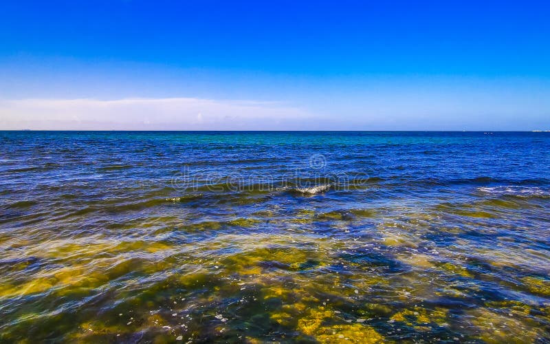 камни кораллы бирюза зеленая голубая вода на пляже мексика стоковые фото