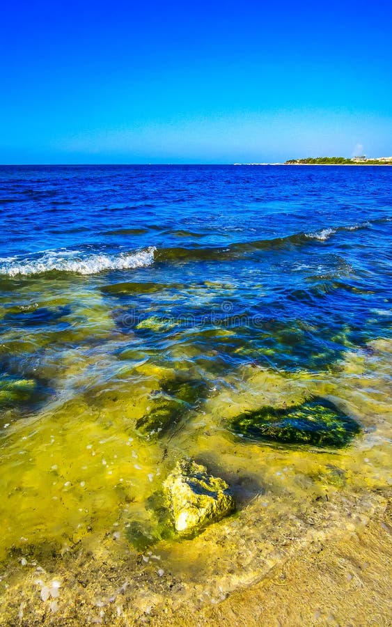 камни кораллы бирюза зеленая голубая вода на пляже мексика стоковые фотографии rf