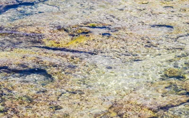 камни скалы кораллы бирюзовая зелёная синяя вода на пляже мексико стоковые фотографии rf