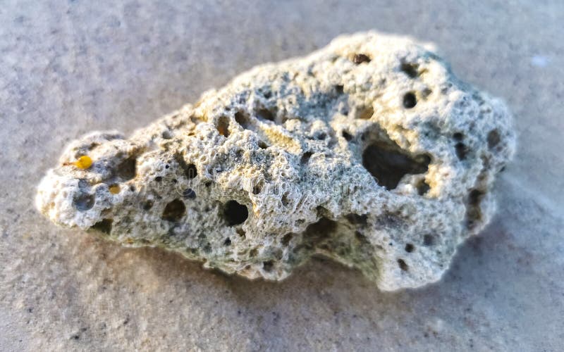 Камни скапливают кораллы с водорослями в воде на пляжном мексиканском побережье стоковые изображения rf