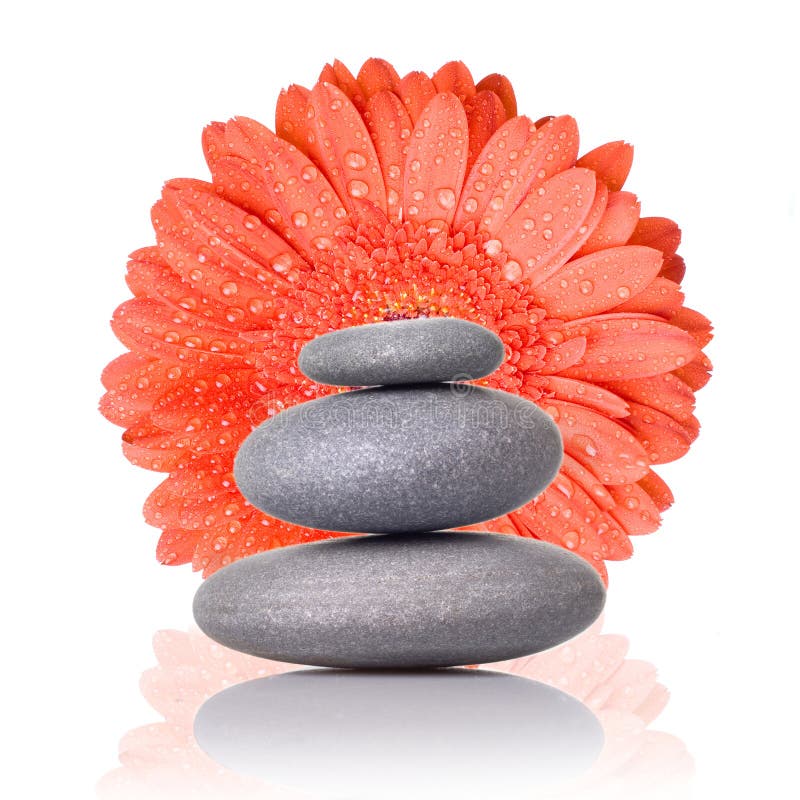 камни спы gerbera красные стоковая фотография rf камни спы gerbera красные стоковая фотография rf