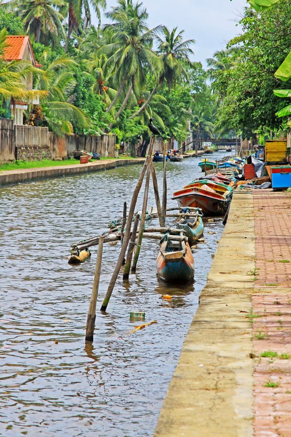 Канал Гамильтона, Negombo Шри-Ланка стоковое фото rf Канал Гамильтона, Negombo Шри-Ланка стоковое фото rf
