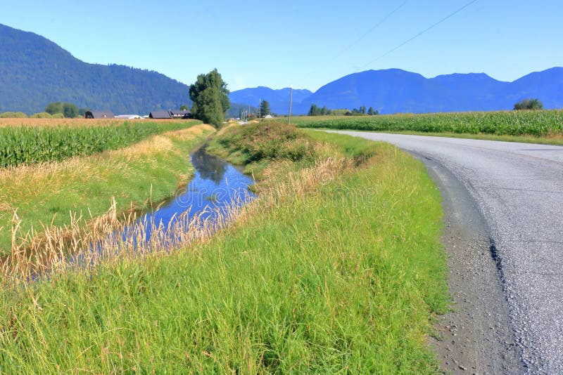 A winding rural road winds its way through a lush agricultural landscape in the Fraser Valley in southwest British Columbia, Canada. A winding rural road winds its way through a lush agricultural landscape in the Fraser Valley in southwest British Columbia, Canada.