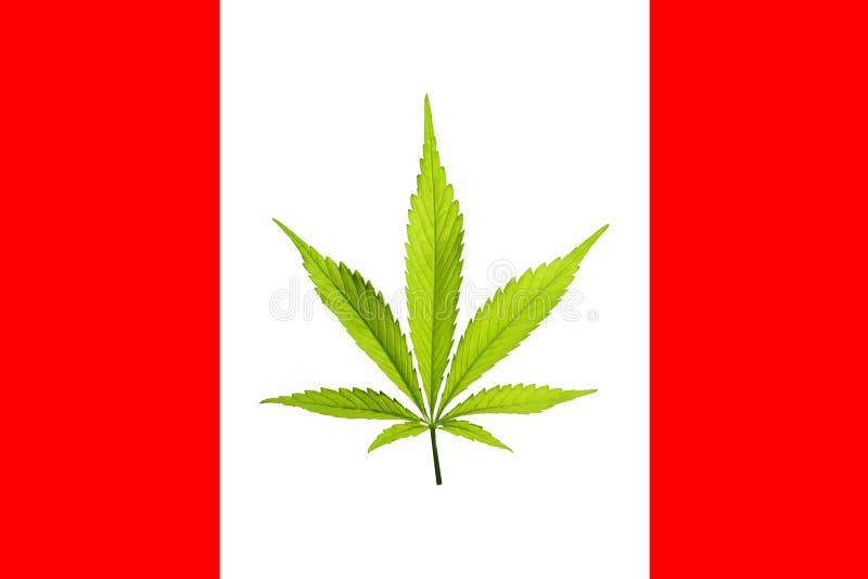 Флаг канады с коноплей узнать пол конопли