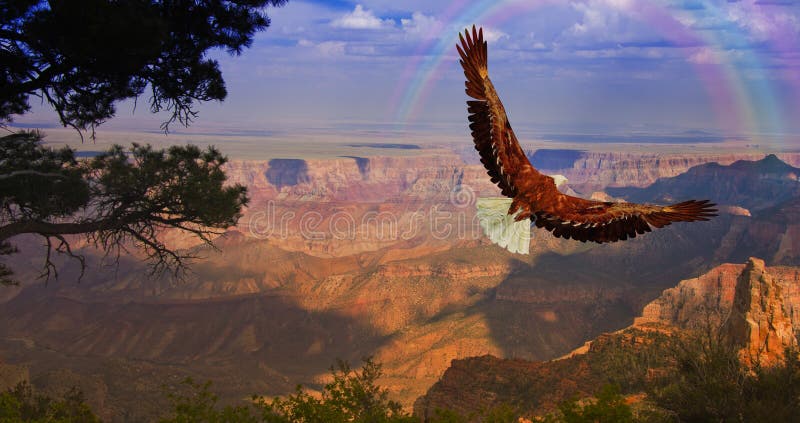 Eagle takes flight over Grand Canyon USA. Eagle takes flight over Grand Canyon USA