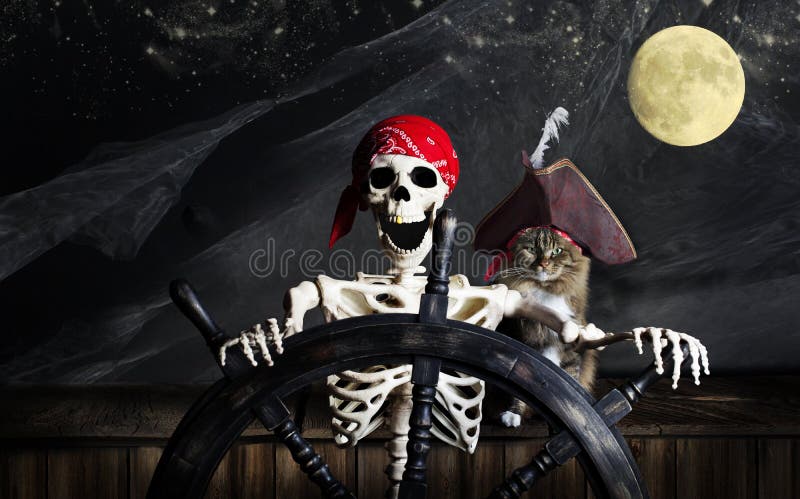 A pirate skeleton with gold tooth and wearing red bandana at ships wheel while cat in tricorn hat sits at his side. There is a full moon, stars and wisps of torn sails in background. A pirate skeleton with gold tooth and wearing red bandana at ships wheel while cat in tricorn hat sits at his side. There is a full moon, stars and wisps of torn sails in background.