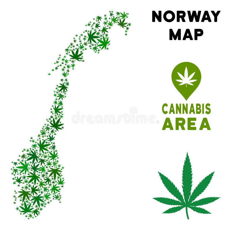 Норвегия и марихуана муж постоянно врет и курит траву