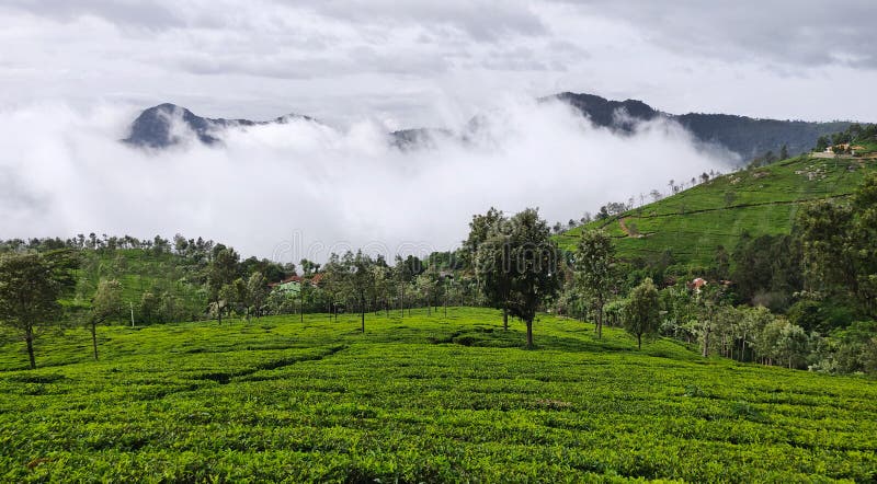Кафе на открытом воздухе на холмах Coonoor под дождливыми облаками муссона стоковое фото Кафе на открытом воздухе на холмах Coonoor под дождливыми облаками муссона стоковое фото