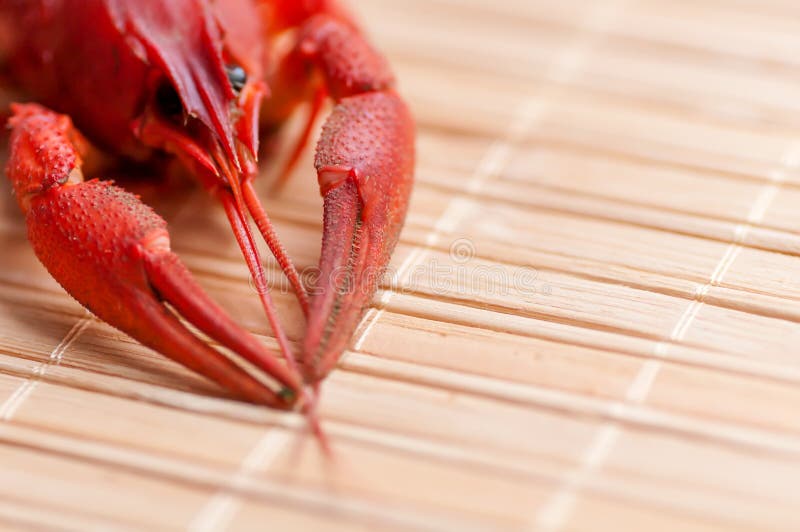 Кипеть крупный план рака стоковые изображения Кипеть крупный план рака стоковые изображения