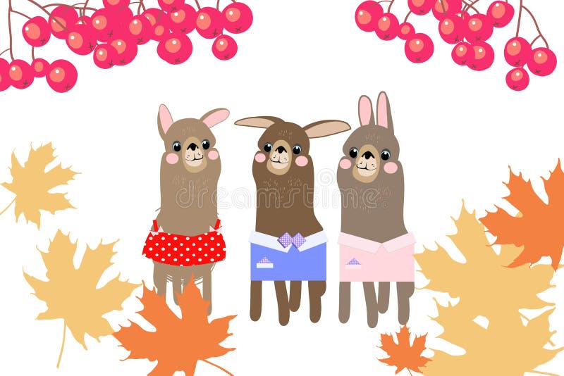 Lama stock illustration Lama stock illustration