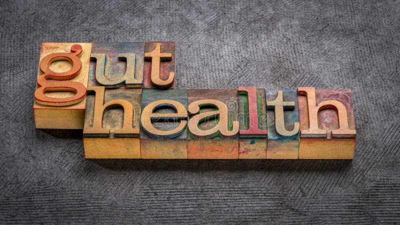 gut health - word abstract in vintage letterpress wood type printing blocks, digestive health concept. gut health - word abstract in vintage letterpress wood type printing blocks, digestive health concept