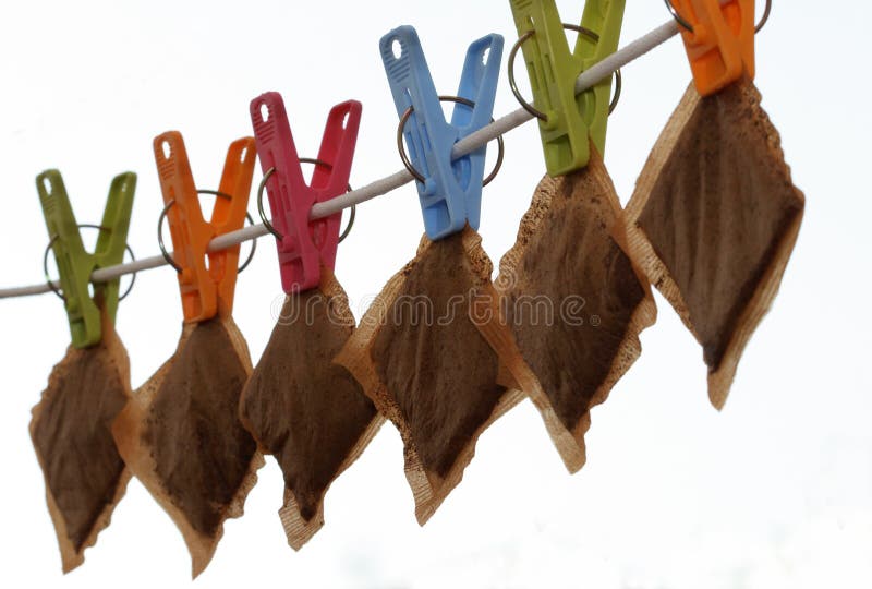 Teabags on a washing line, with a blue background. Teabags on a washing line, with a blue background