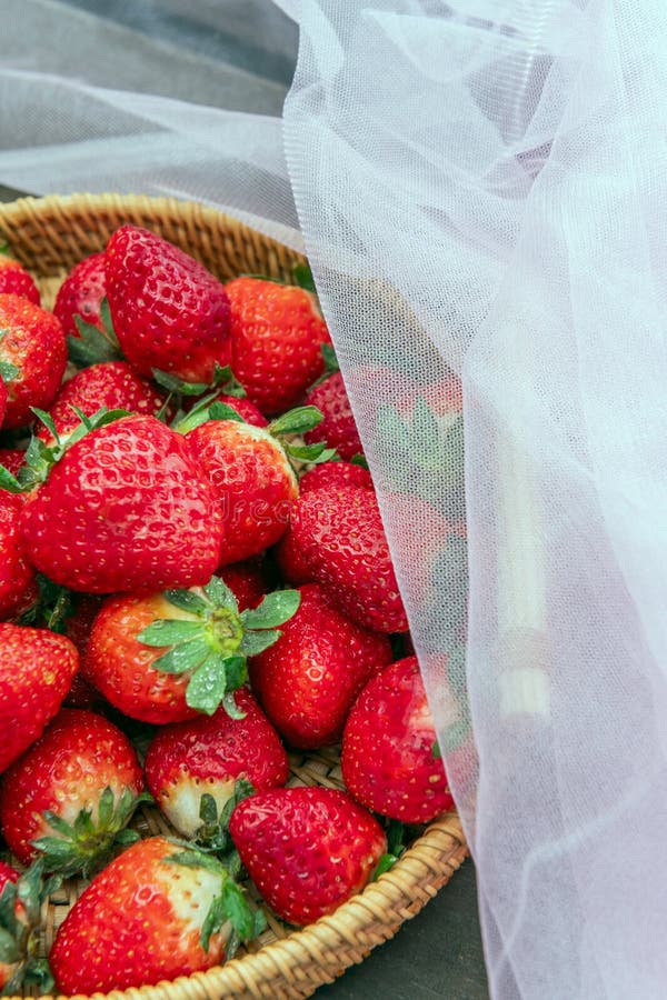 Strawberries In order to take advantage of all its nutrients and facilitate the digestion of other foods, nutrition experts recommend consuming. Strawberries In order to take advantage of all its nutrients and facilitate the digestion of other foods, nutrition experts recommend consuming
