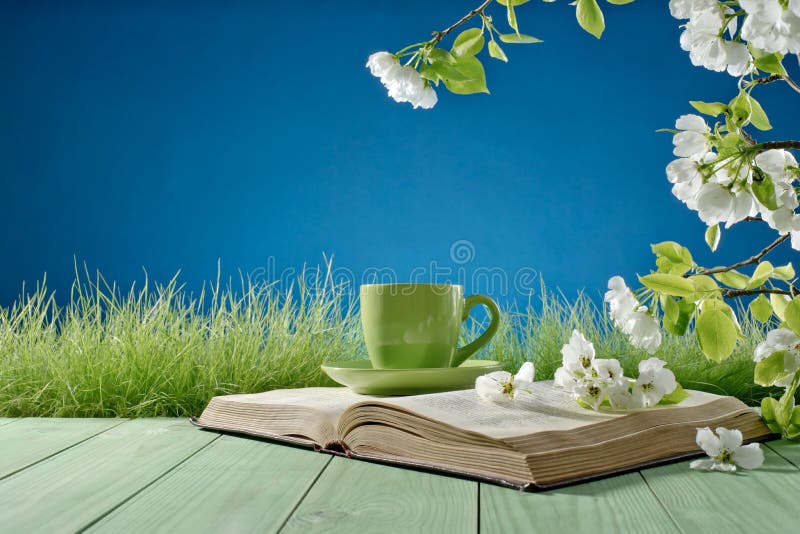 Книга и чашка на предпосылке природы стоковое фото rf Книга и чашка на предпосылке природы стоковое фото rf
