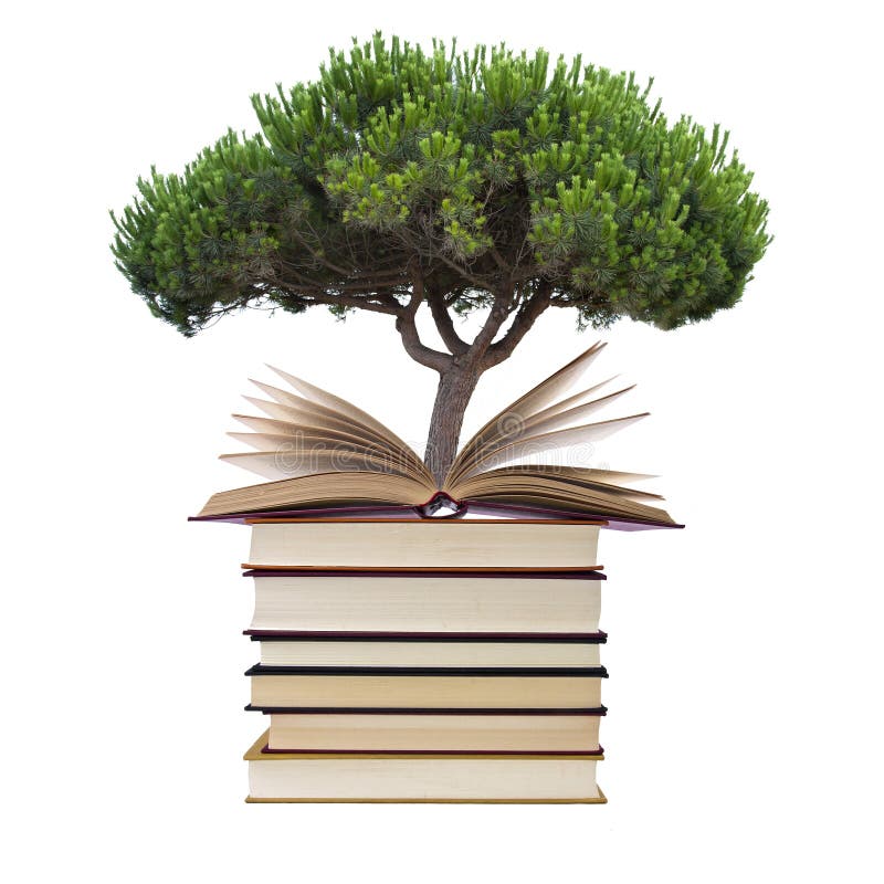 Книги с валом стоковые фото Книги с валом стоковые фото
