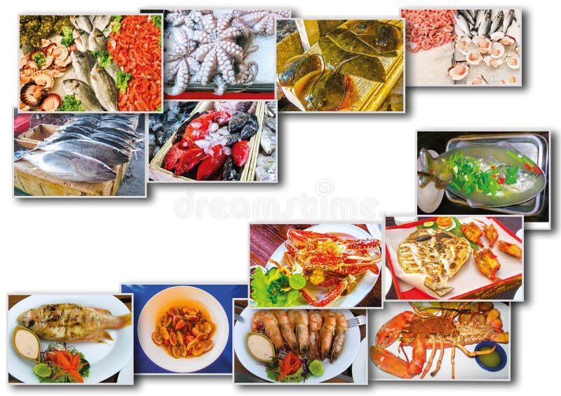 Download Коллаж продукта моря с блюдами сырых рыб и ресторана Стоковое Изображение - изображение насчитывающей anticlockwise, мидии: 81814035