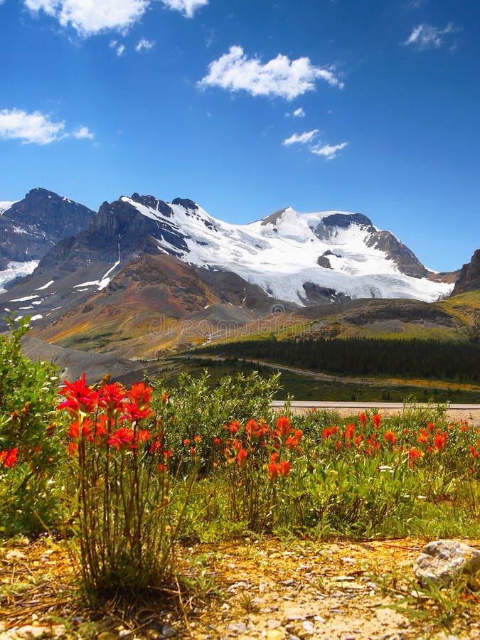 Колумбия Icefield Mt яшма icefield ледника Канады канадская columbia athabasca alberta известная большинств национальный парк при стоковая фотография
