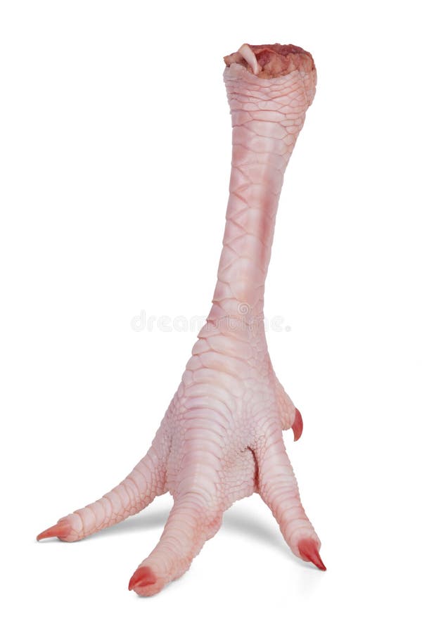 Step makes chicken foot on a white background. Step makes chicken foot on a white background