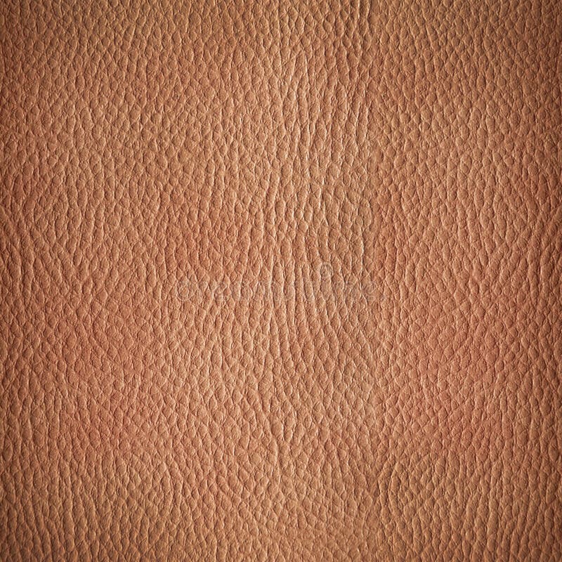 Leather texture. Closeup of skin surface, crumple pattern. Leather texture. Closeup of skin surface, crumple pattern