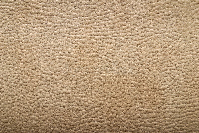 Leather texture. Closeup of skin surface. Material structure. Leather texture. Closeup of skin surface. Material structure