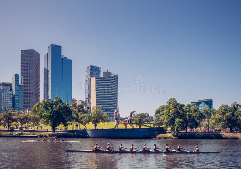 Команды rowing кудели практикуют на реке Yarra к противоположному пути 25-ого февраля 2017 стоковое фото Команды rowing кудели практикуют на реке Yarra к противоположному пути 25-ого февраля 2017 стоковое фото