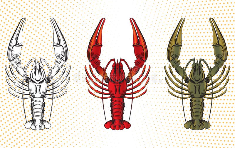 Комплект вектора crawfish иллюстрация вектора Комплект вектора crawfish иллюстрация вектора