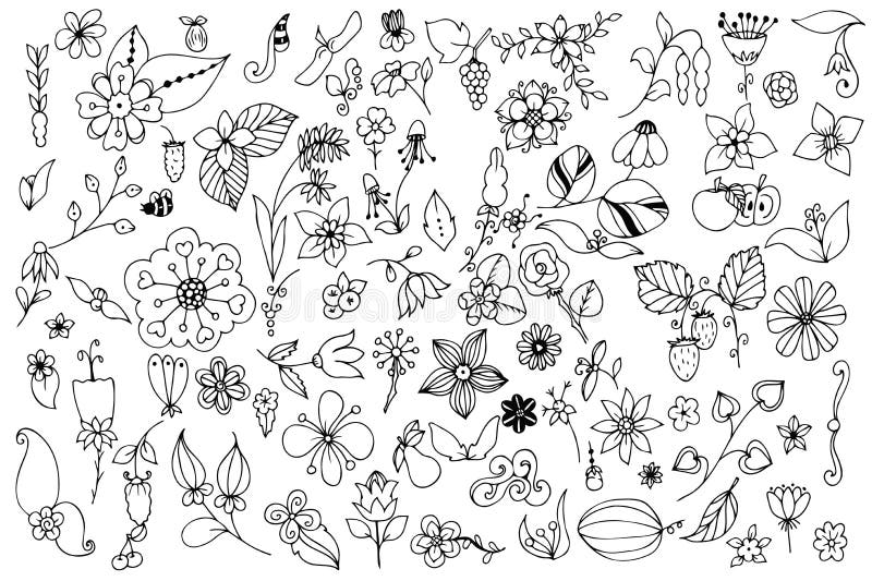 Комплект черно-белых листьев цветков doodle Нарисованные рукой элементы дизайна вектора иллюстрация вектора Комплект черно-белых листьев цветков doodle Нарисованные рукой элементы дизайна вектора иллюстрация вектора