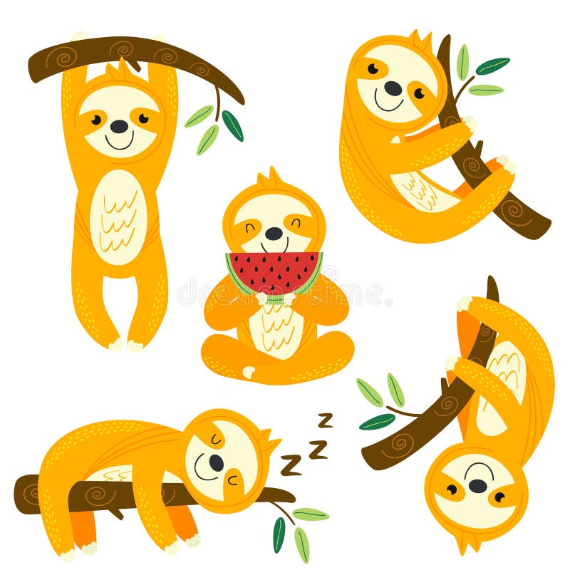 Set of isolated funny sloths on a branch - vector illustration, eps. Set of isolated funny sloths on a branch - vector illustration, eps