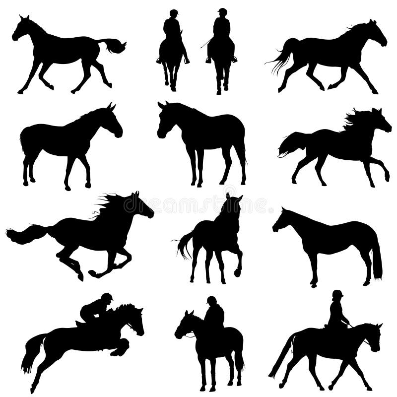 Set of horse silhouettes vector. Set of horse silhouettes vector