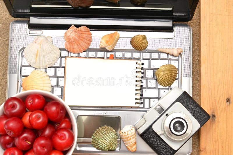 Компьтер-книжка, сливы и раковины Стоковое Фото - изображение ...