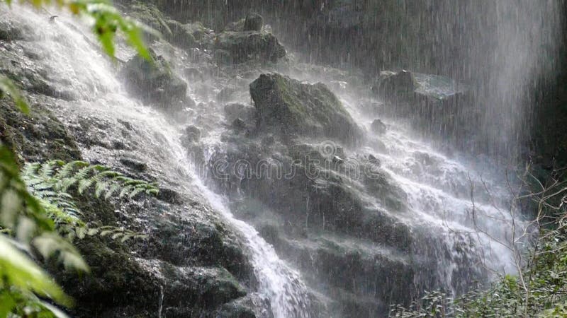 Конец-вверх дна водопада движение медленное видеоматериал
