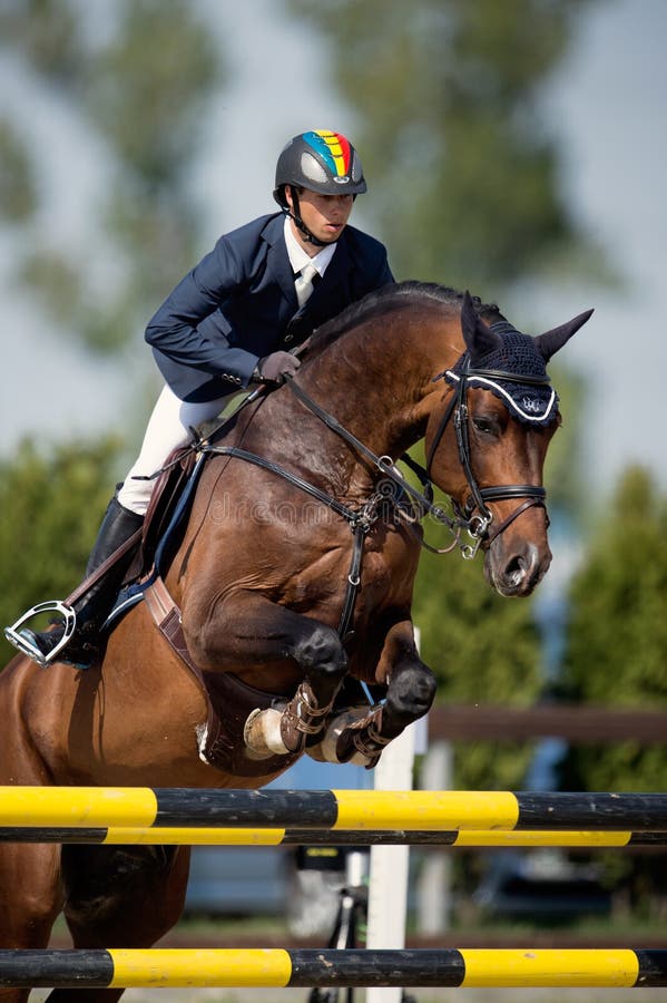 Конноспортивный скакать всадника лошади Изобразите показывать ...