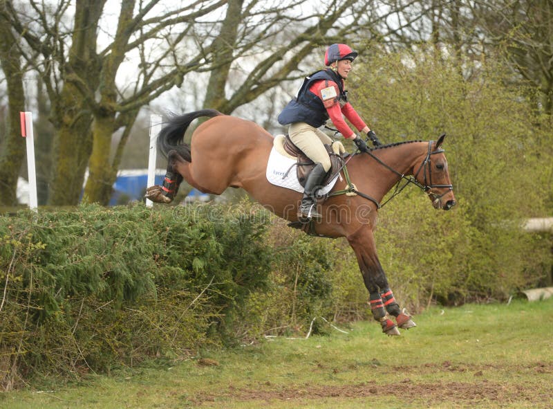 Конноспортивный спорт: скакать лошади Редакционное Стоковое Изображение ...