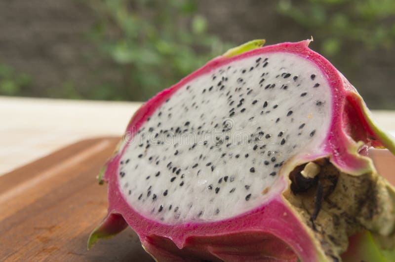 Концепция pitaya pitahaya плодоовощ дракона тропическая здоровая тайская стоковые изображения Концепция pitaya pitahaya плодоовощ дракона тропическая здоровая тайская стоковые изображения