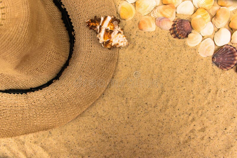 Концепция летних каникулов с seashells, шляпой пляжа женщин и солнечными очками на предпосылке песка o стоковое изображение rf Концепция летних каникулов с seashells, шляпой пляжа женщин и солнечными очками на предпосылке песка o стоковое изображение rf