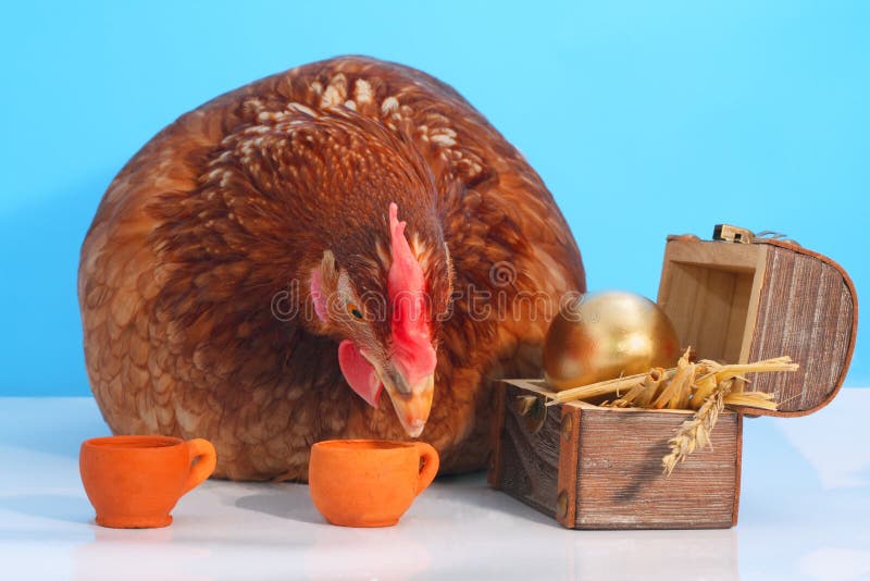 коричневая курица пасхального яйца золотистая стоковое изображение rf