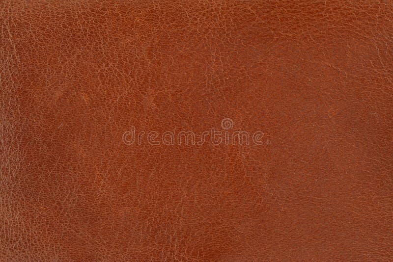 Close-up of brown leather texture. Close-up of brown leather texture