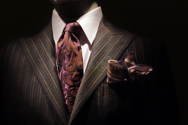 коричневым темным связь куртки handkerc striped пурпуром стоковая фотография