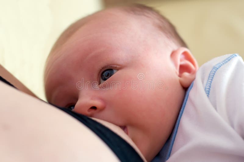 Mother breast feeding her newborn. Mother breast feeding her newborn