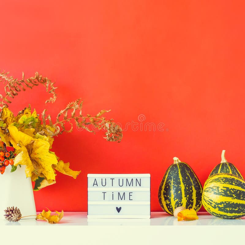 Коробка с текстом AUTUMN TIME, декоративные полосатые тыквы, ваза с букетом падающих листьев и паром на фоне красной стены стоковое изображение rf