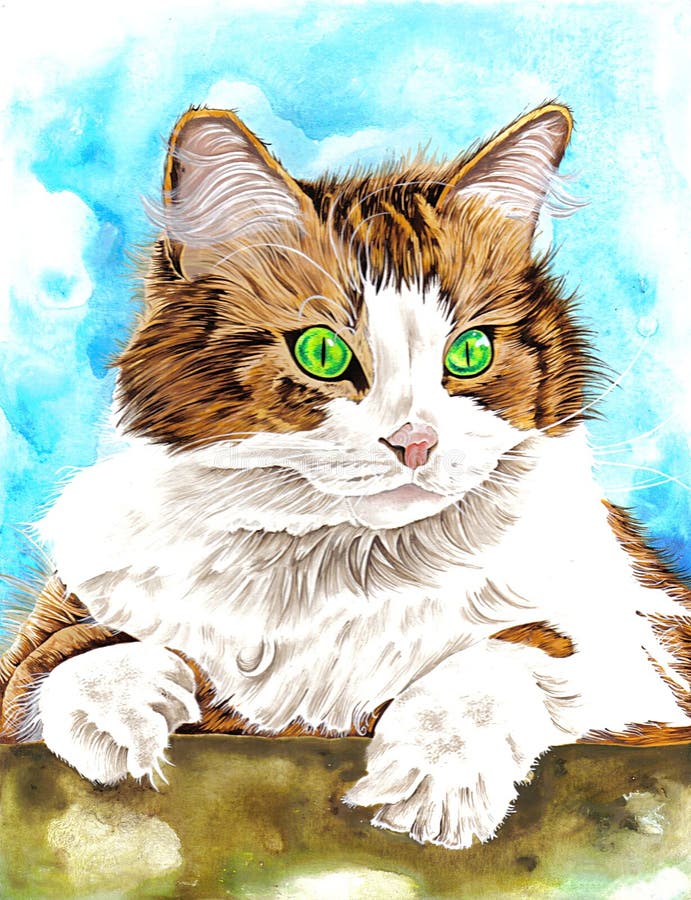Download кот иллюстрация штока. иллюстрации насчитывающей кошачий - 79280