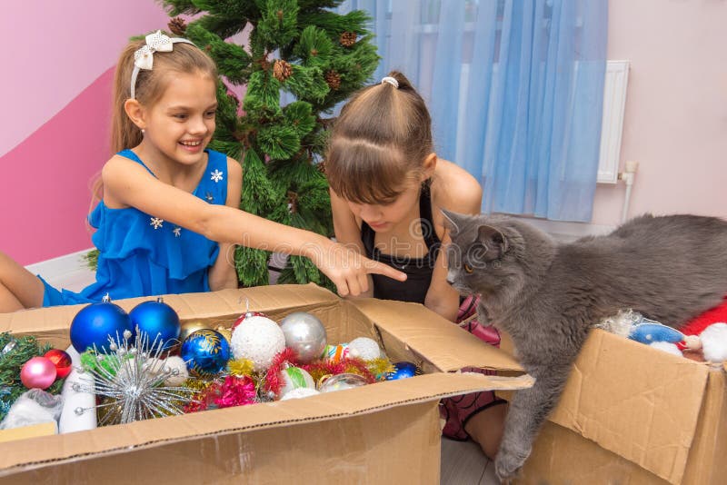 Кот дома пришел посмотреть украшения рождественской елки в коробке, девушка показывает палец на коте стоковое изображение Кот дома пришел посмотреть украшения рождественской елки в коробке, девушка показывает палец на коте стоковое изображение